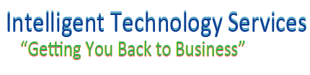Intelligent Technology Services